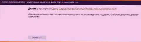 Дилинговая фирма КаувоКапитал Ком представлена в отзыве на информационном портале revocon ru